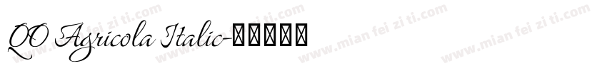 QO Agricola Italic字体转换